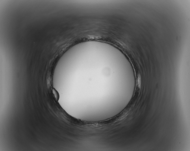 X0000086321444200704202013