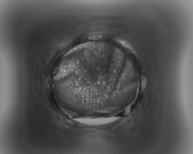 X0000086321445200704202012