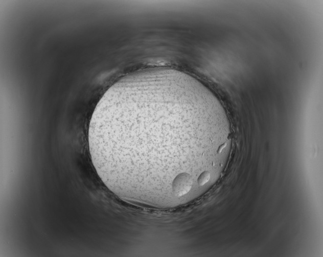 X0000086321446200704202012