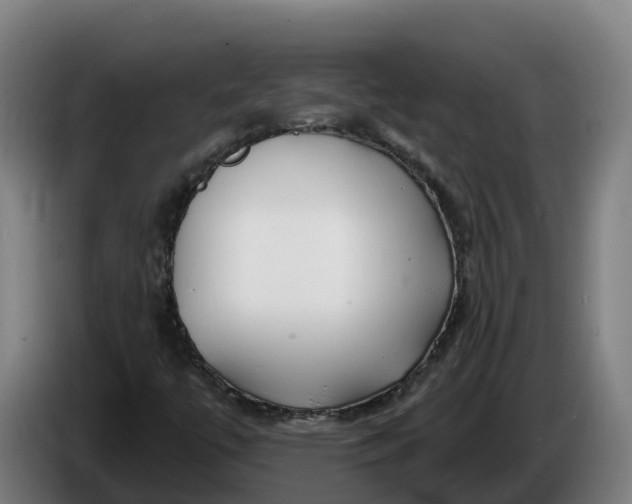 X0000086321447200704202012