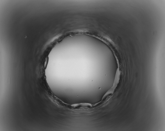 X0000086321448200704202012