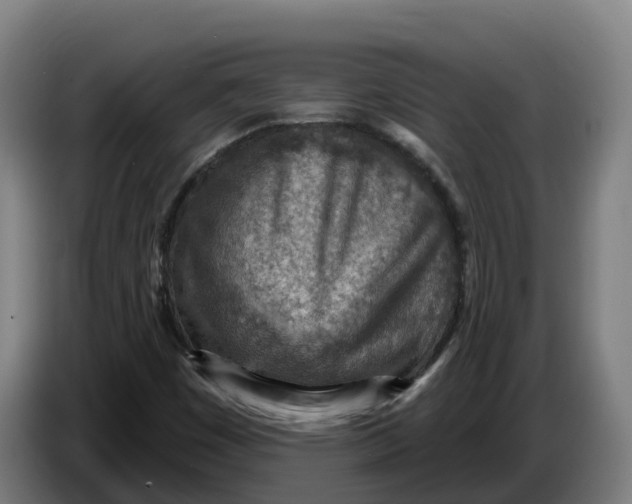 X0000086321449200704202012