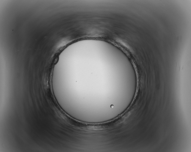 X0000086321451200704202012