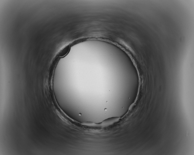 X0000086321452200704202012