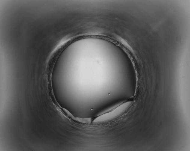 X0000086321456200704202012