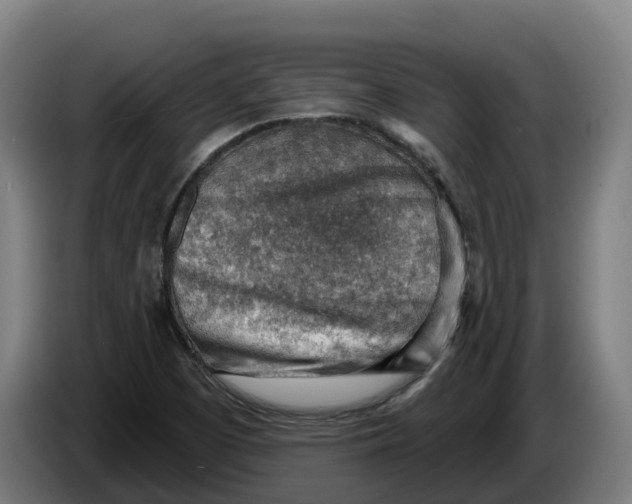 X0000086321457200704202012