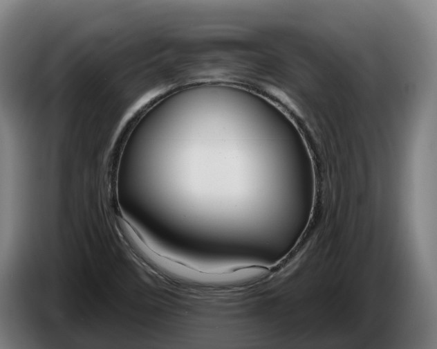 X0000086321458200704202012