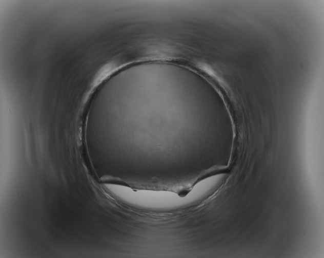 X0000086321459200704202012