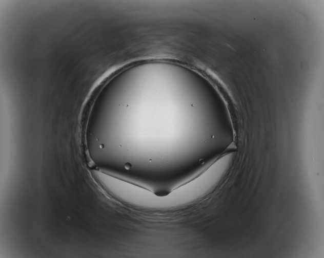 X0000086321460200704202012