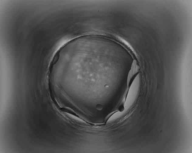 X0000086321463200704202012