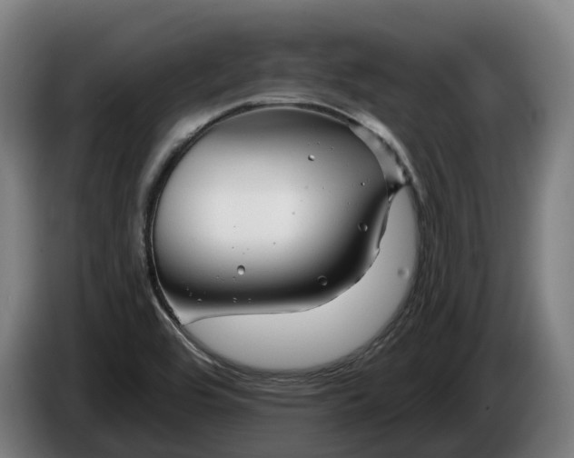 X0000086321464200704202012