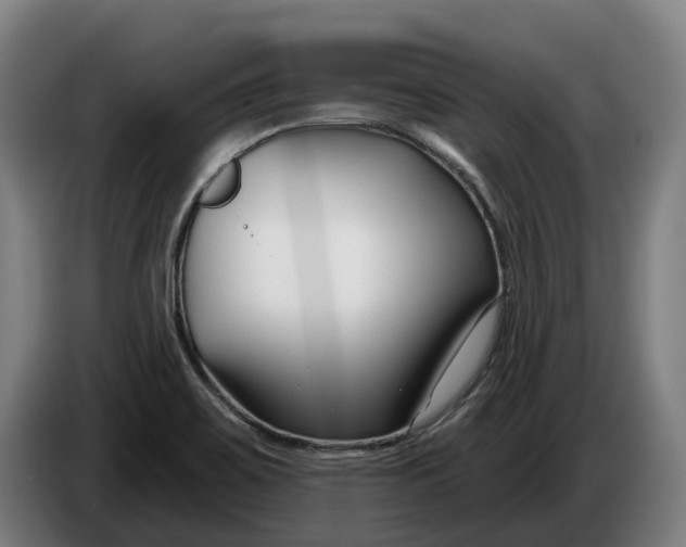 X0000086321467200704202012