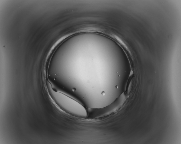 X0000086321468200704202012