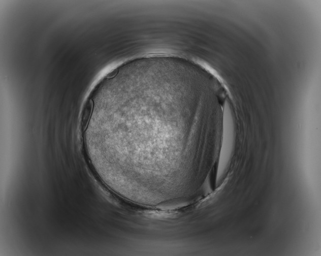 X0000086321469200704202012