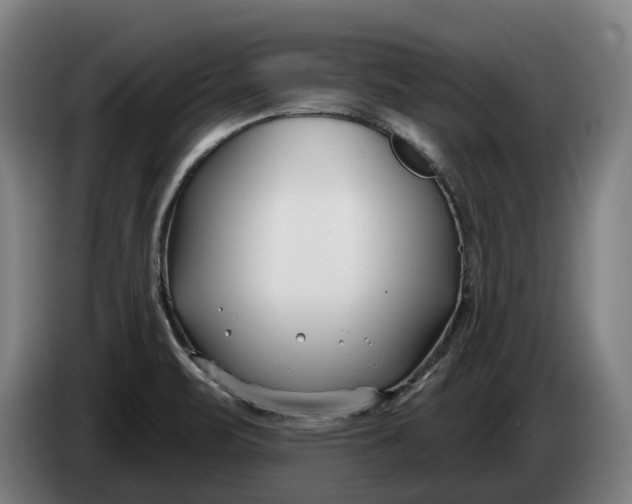 X0000086321471200704202012