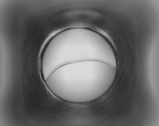 X0000086321472200704202012