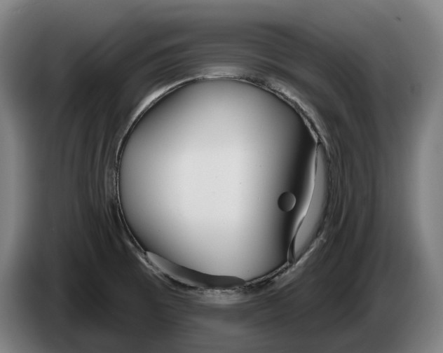 X0000086321473200704202012