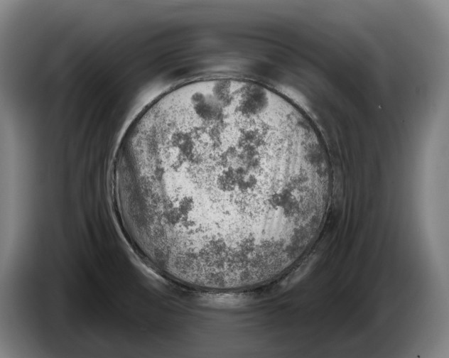 X0000086321474200704202012