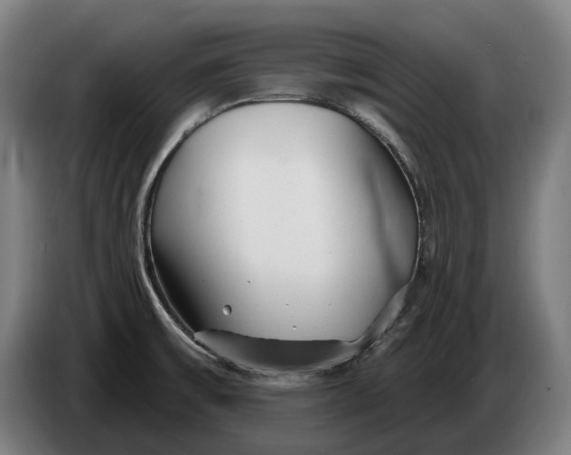 X0000086321475200704202012