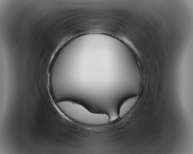 X0000086321476200704202012