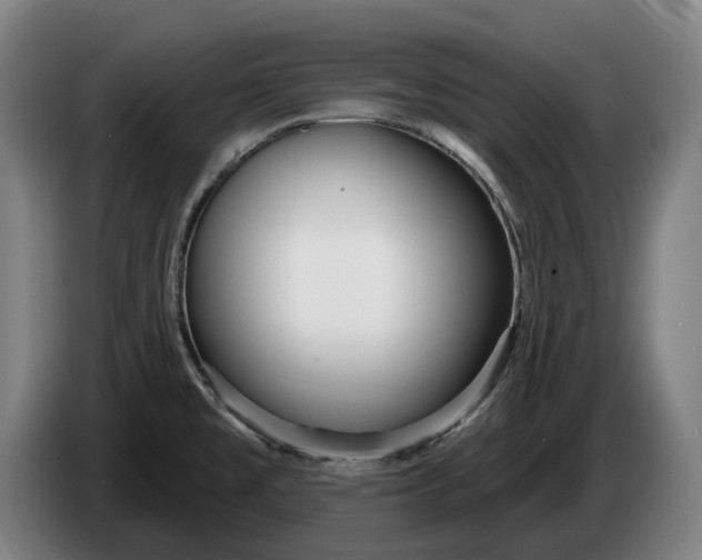 X0000086321477200704202012