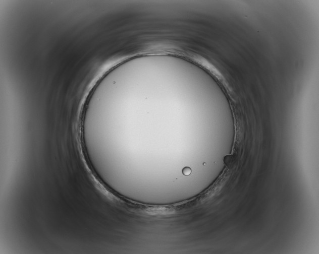 X0000086321478200704202012