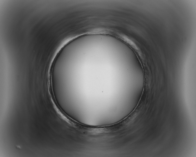 X0000086321479200704202012