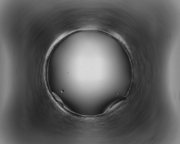 X0000086321480200704202012