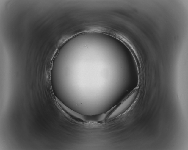 X0000086321481200704202012