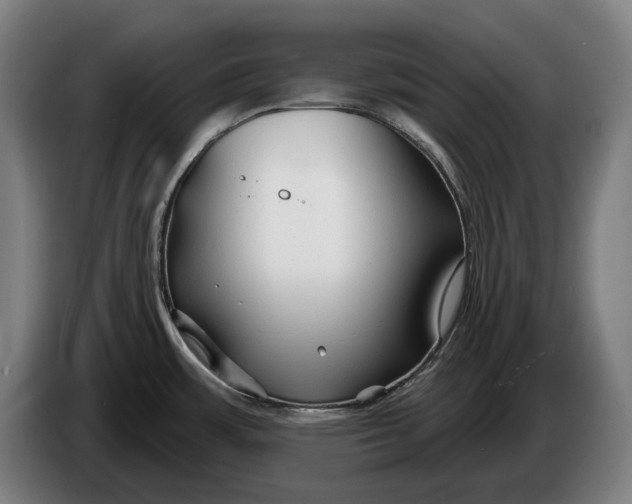 X0000086321483200704202012