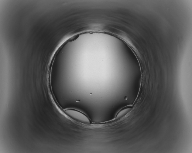 X0000086321484200704202012