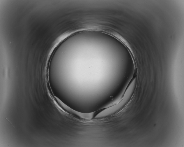 X0000086321485200704202012