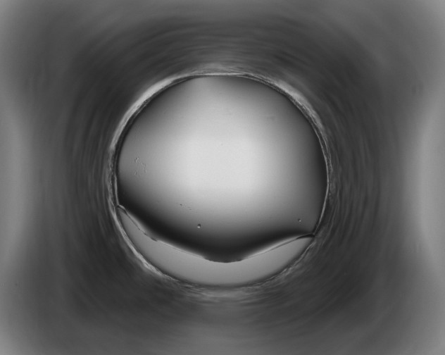 X0000086321486200704202012