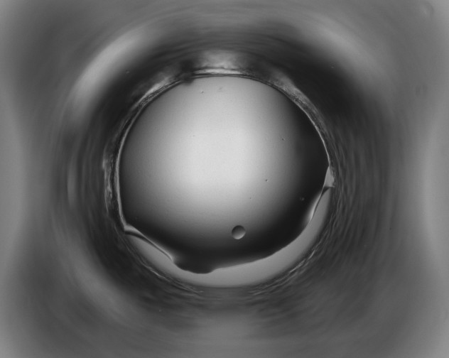 X0000086321487200704202012