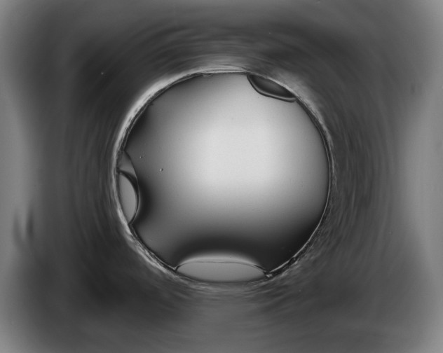 X0000086321488200704202012