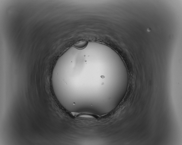 X0000086321489200704202011