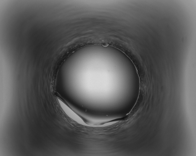 X0000086321490200704202011