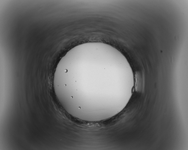 X0000086321491200704202011