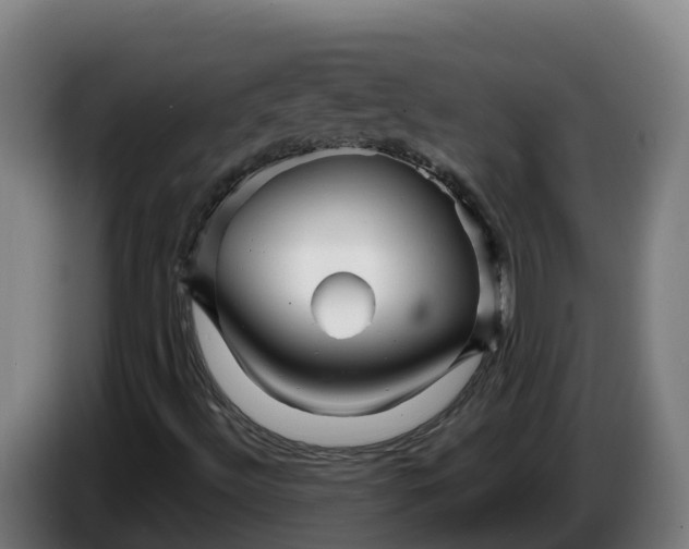 X0000086321492200704202011