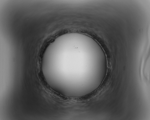 X0000086321493200704202011