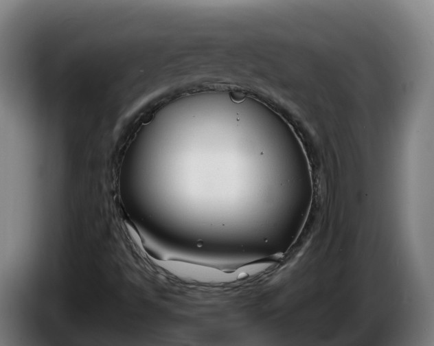 X0000086321494200704202011