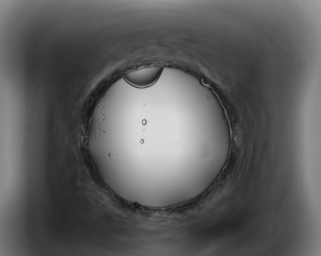 X0000086321495200704202011