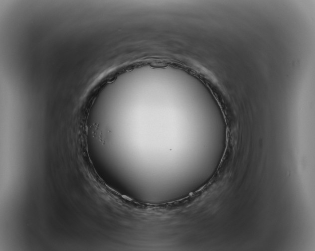 X0000086321496200704202011