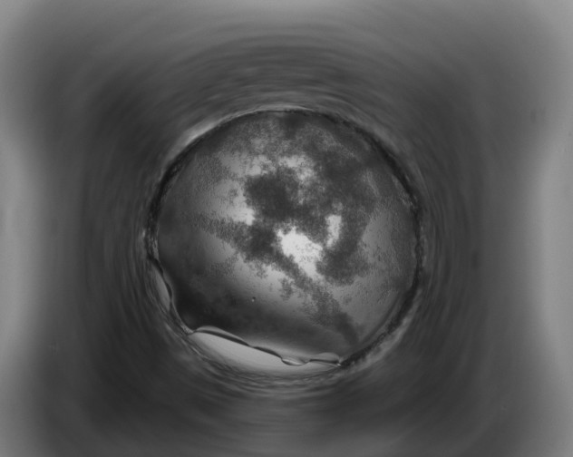 X0000086321497200704202011