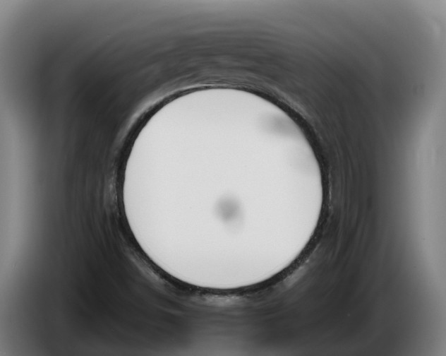 X0000086321498200704202011