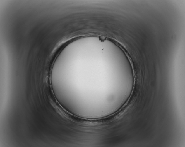 X0000086321499200704202011