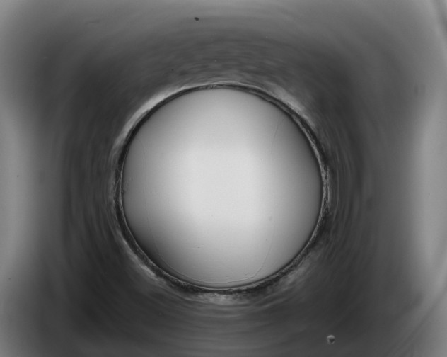 X0000086321500200704202011