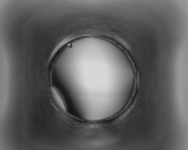 X0000086321501200704202011