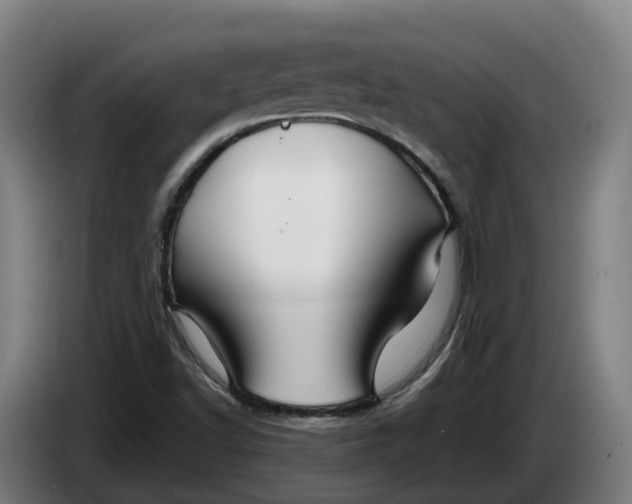 X0000086321502200704202012