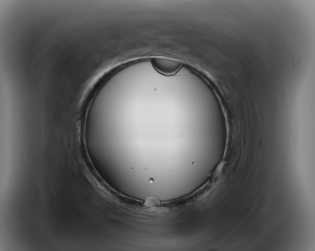 X0000086321503200704202012